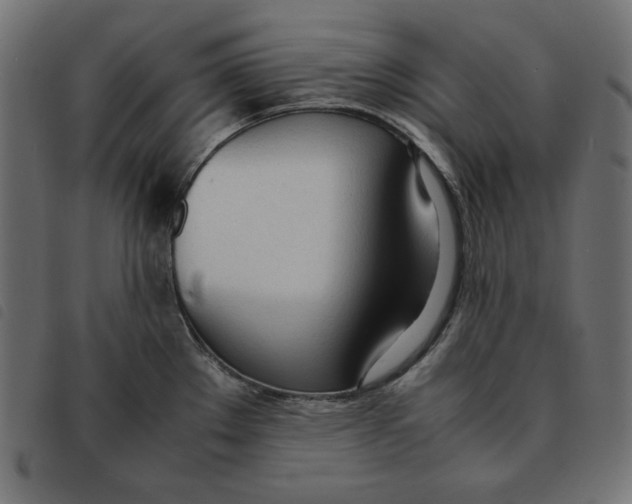 X0000092331289200710121526