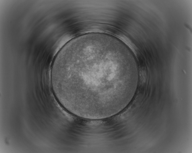 X0000092331290200710121526