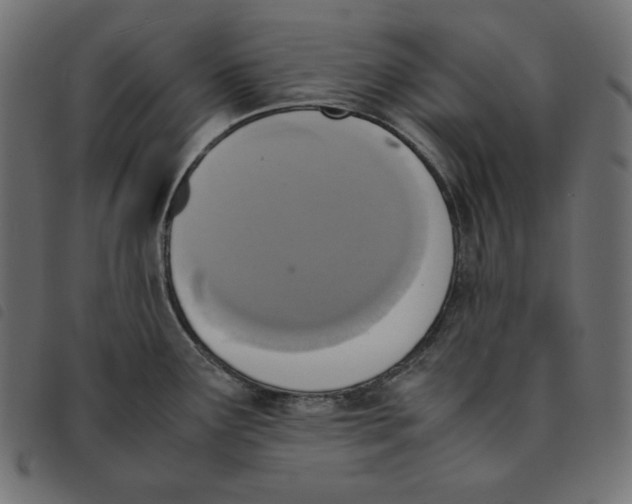 X0000092331291200710121526