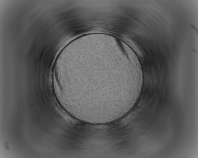 X0000092331292200710121526