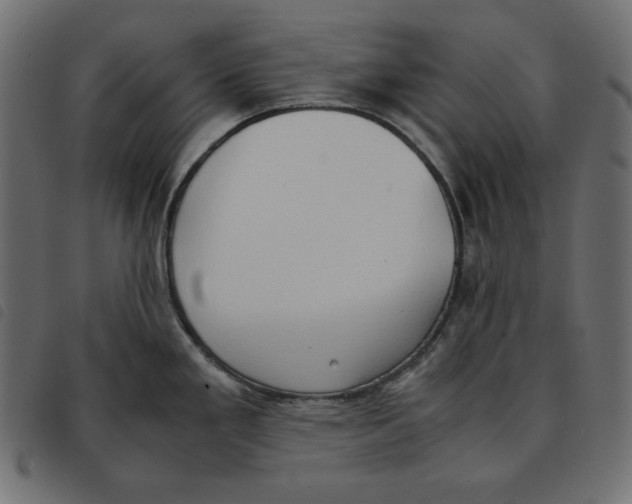 X0000092331293200710121526