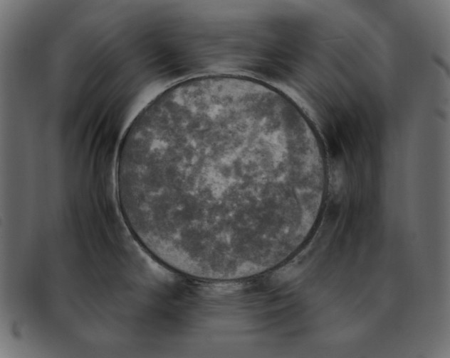 X0000092331294200710121526