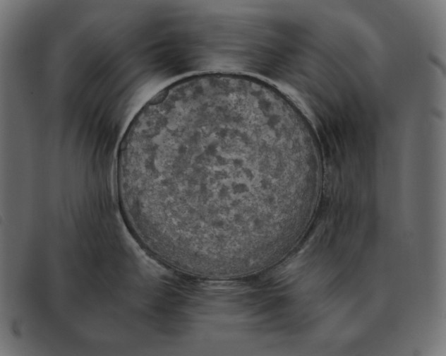 X0000092331295200710121526