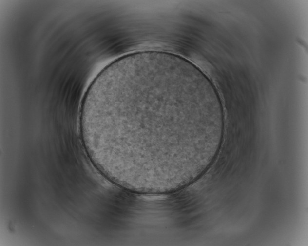 X0000092331296200710121526