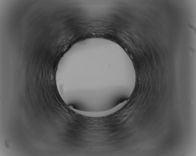 X0000092331298200710121525
