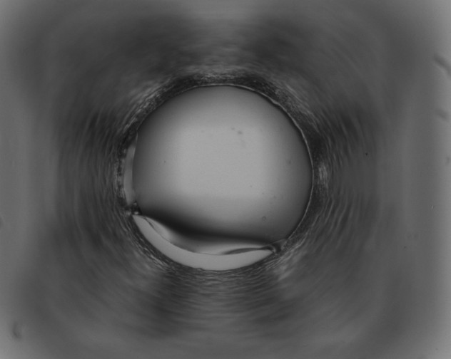 X0000092331300200710121525