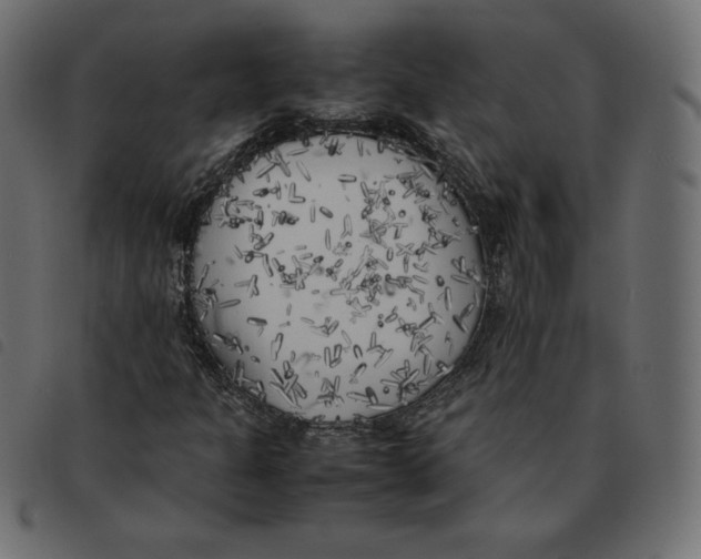 X0000092331301200710121525
