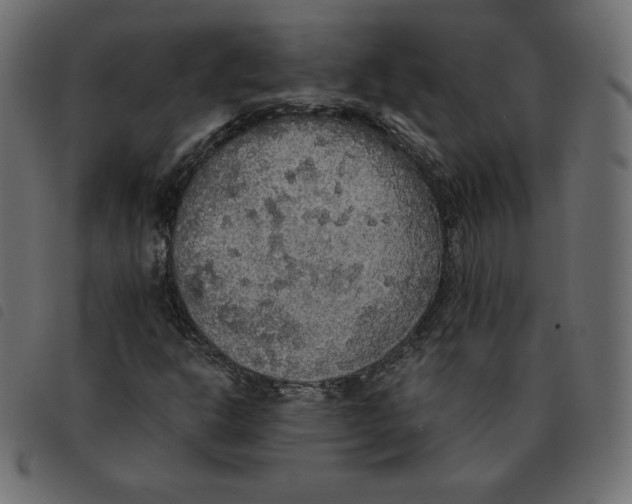 X0000092331302200710121525