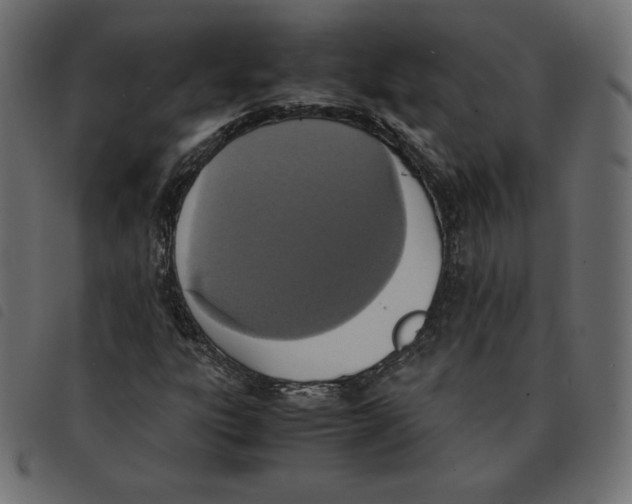 X0000092331303200710121525