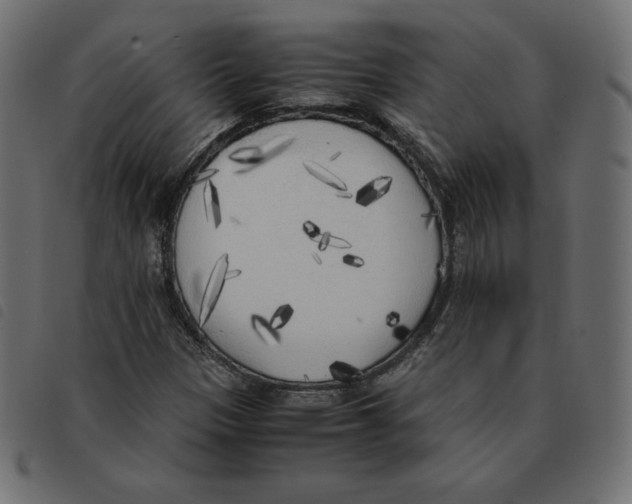 X0000092331305200710121525