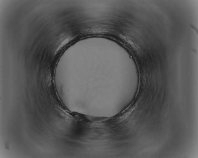 X0000092331306200710121525