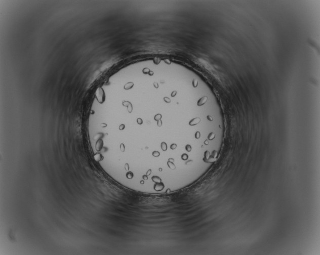 X0000092331307200710121525