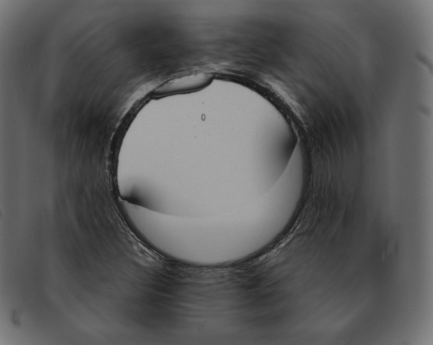 X0000092331308200710121525