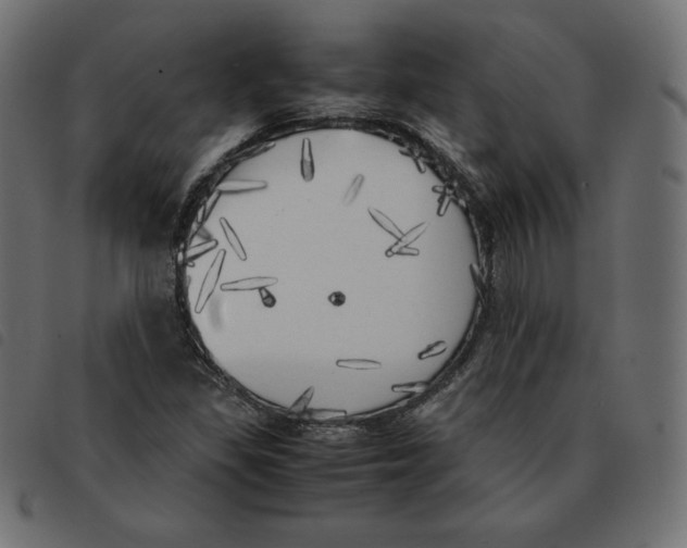 X0000092331309200710121525