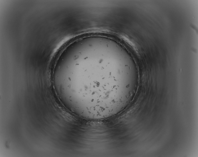 X0000092331310200710121525
