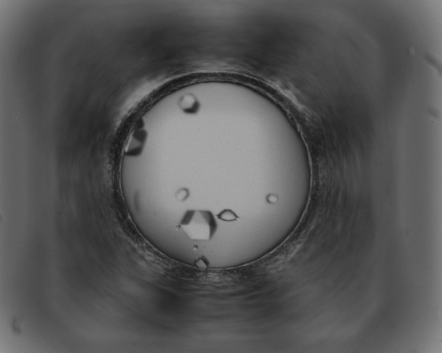 X0000092331311200710121525