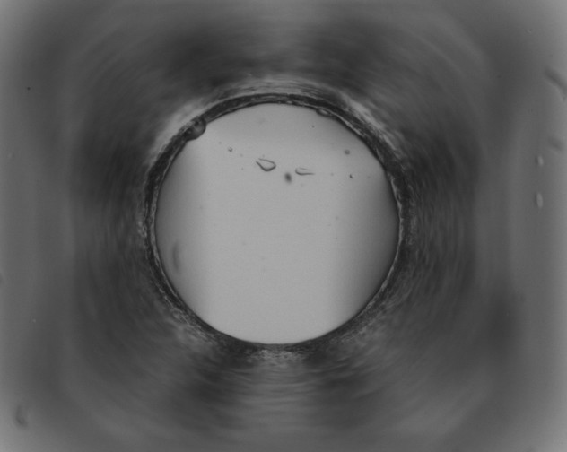 X0000092331312200710121525