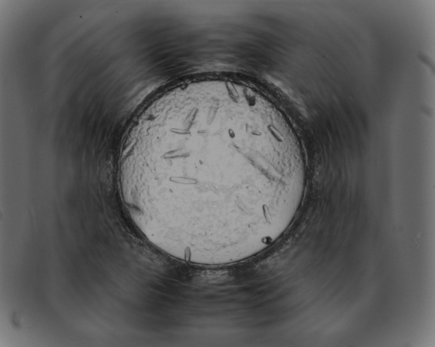 X0000092331313200710121525