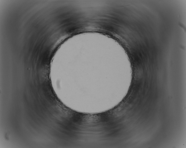 X0000092331314200710121525