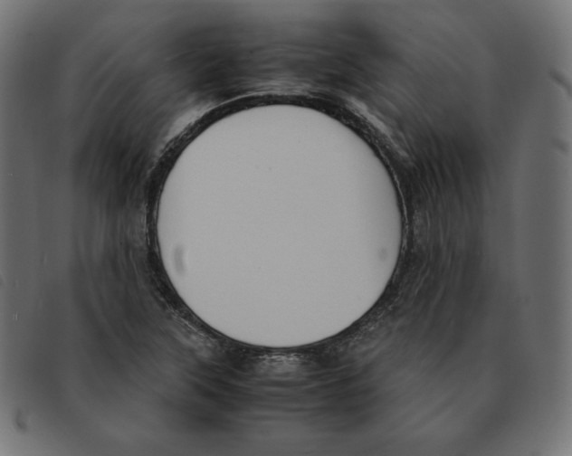 X0000092331315200710121525