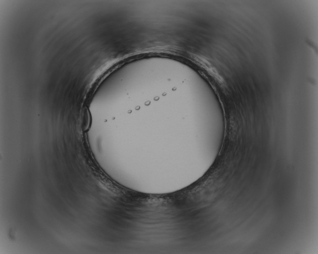 X0000092331316200710121525
