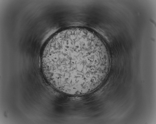 X0000092331317200710121525