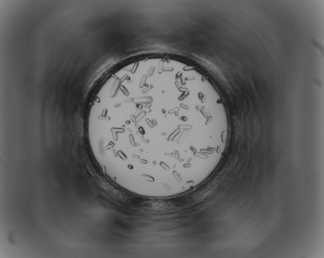 X0000092331318200710121525