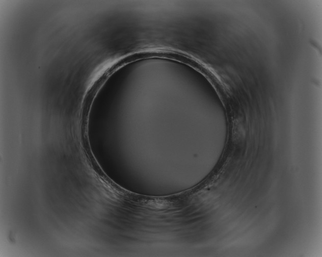 X0000092331319200710121525