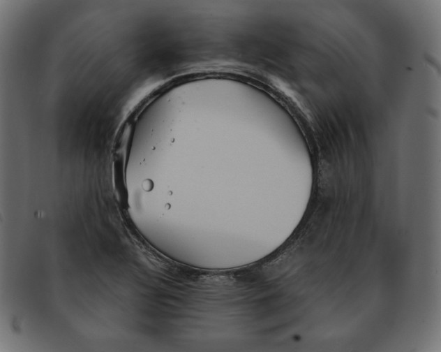 X0000092331320200710121525