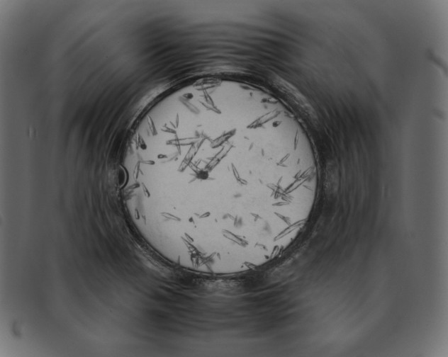 X0000092331321200710121525