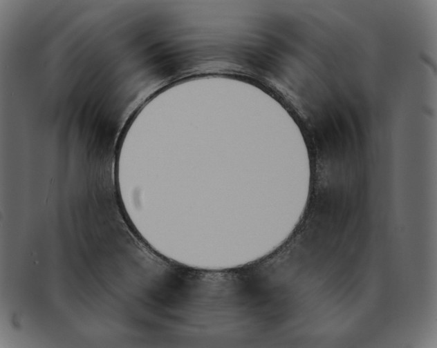 X0000092331322200710121526