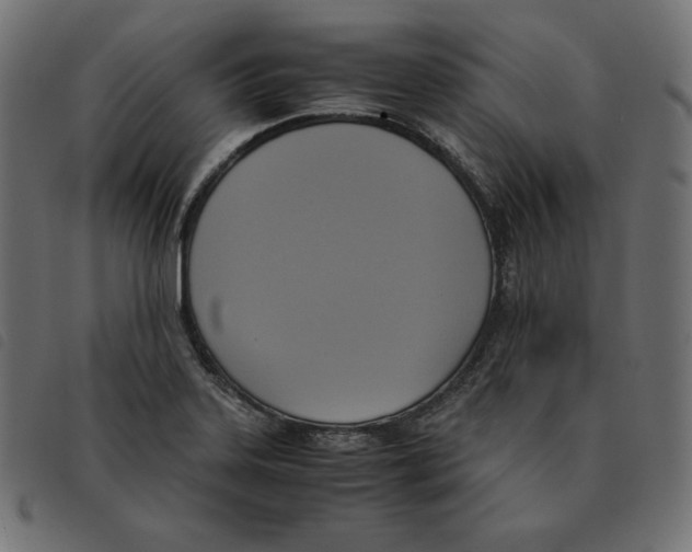 X0000092331323200710121526
