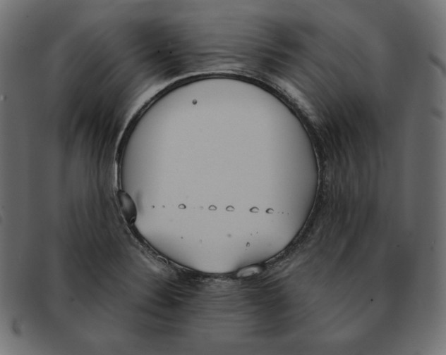 X0000092331324200710121526
