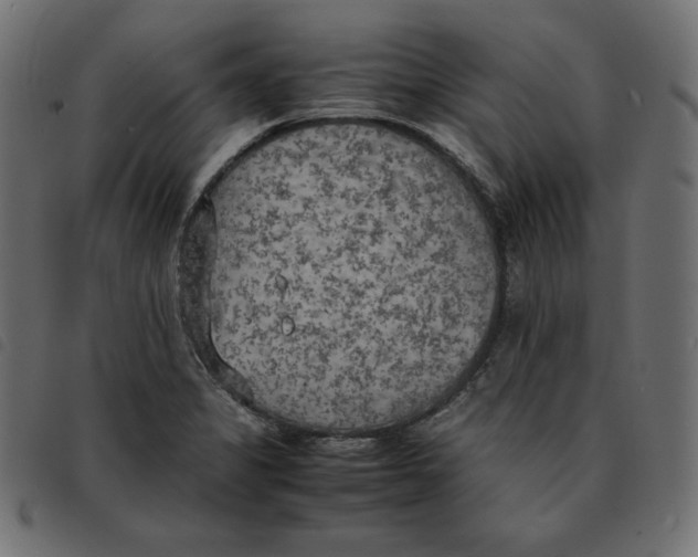 X0000092331325200710121526
