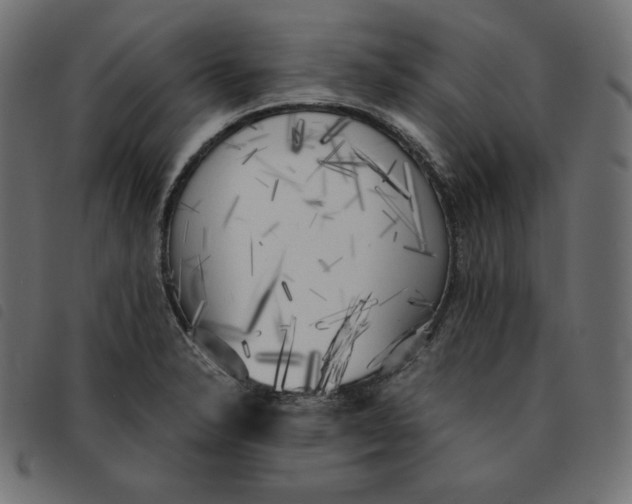 X0000092331326200710121526
