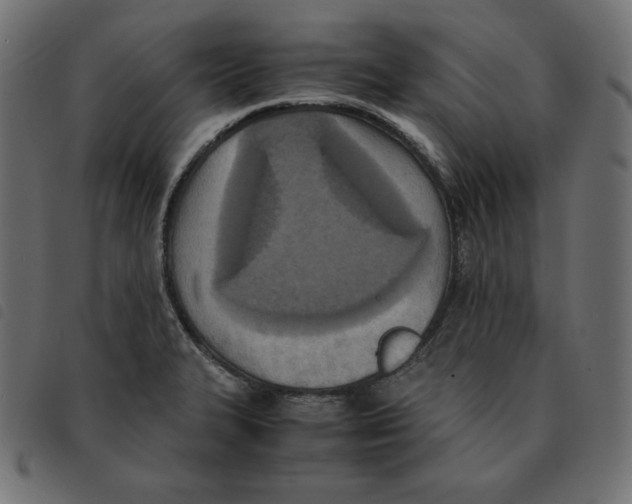 X0000092331327200710121526