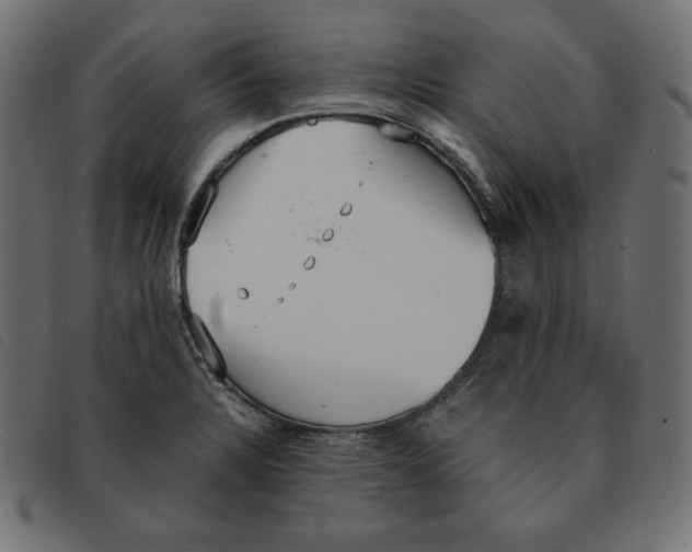 X0000092331328200710121526
