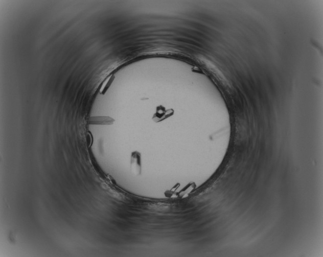 X0000092331329200710121526