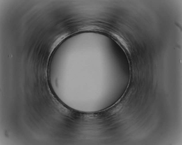 X0000092331330200710121526