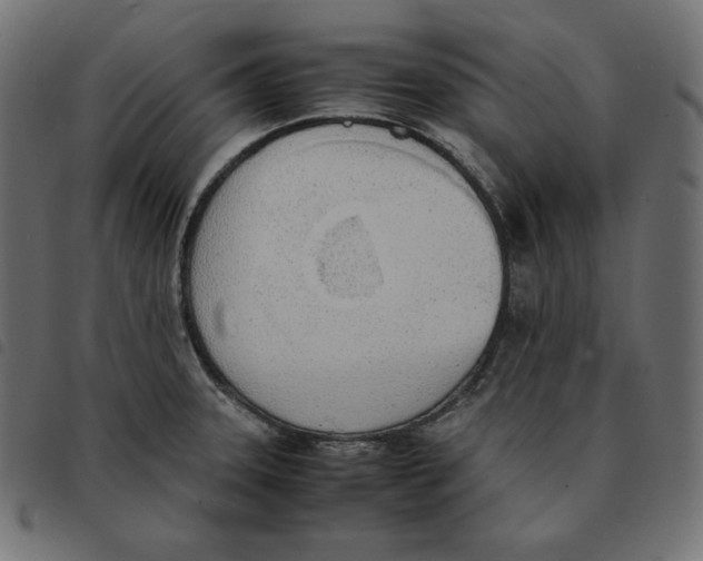 X0000092331331200710121526
