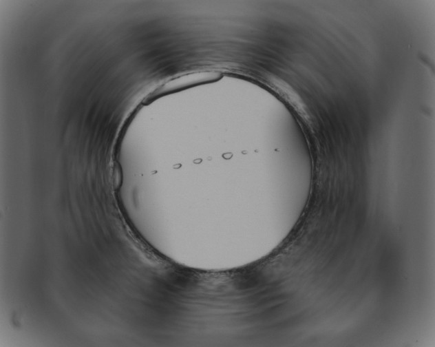 X0000092331332200710121526
