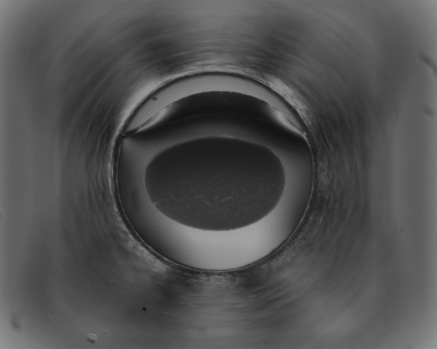 X0000092331334200710121526