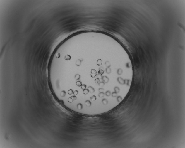 X0000092331335200710121526