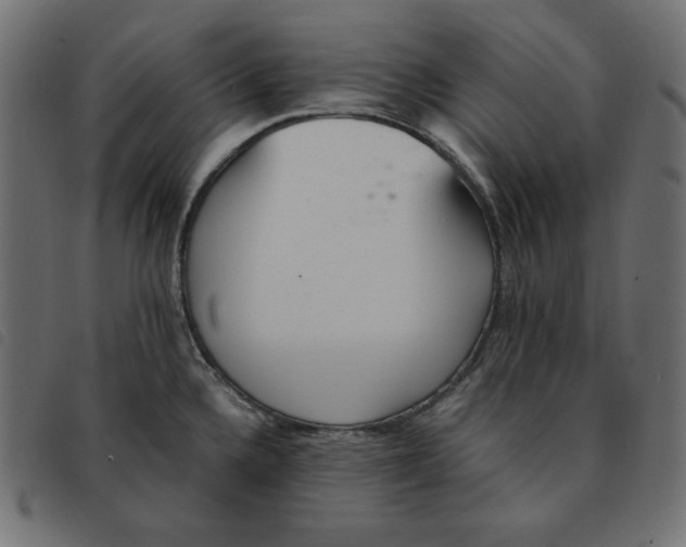 X0000092331336200710121526
