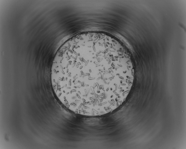 X0000092331337200710121526