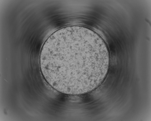 X0000092331338200710121526