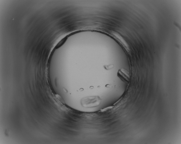 X0000092331340200710121526