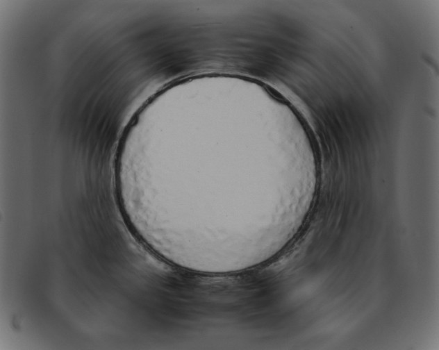 X0000092331341200710121526