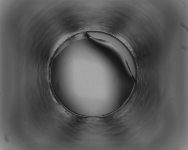 X0000092331342200710121526