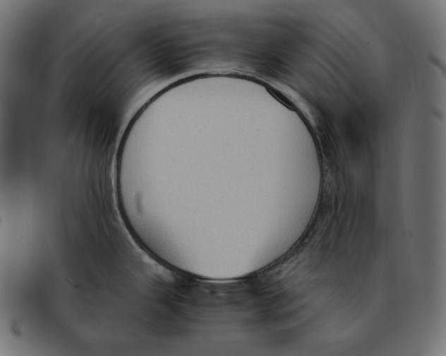X0000092331343200710121526